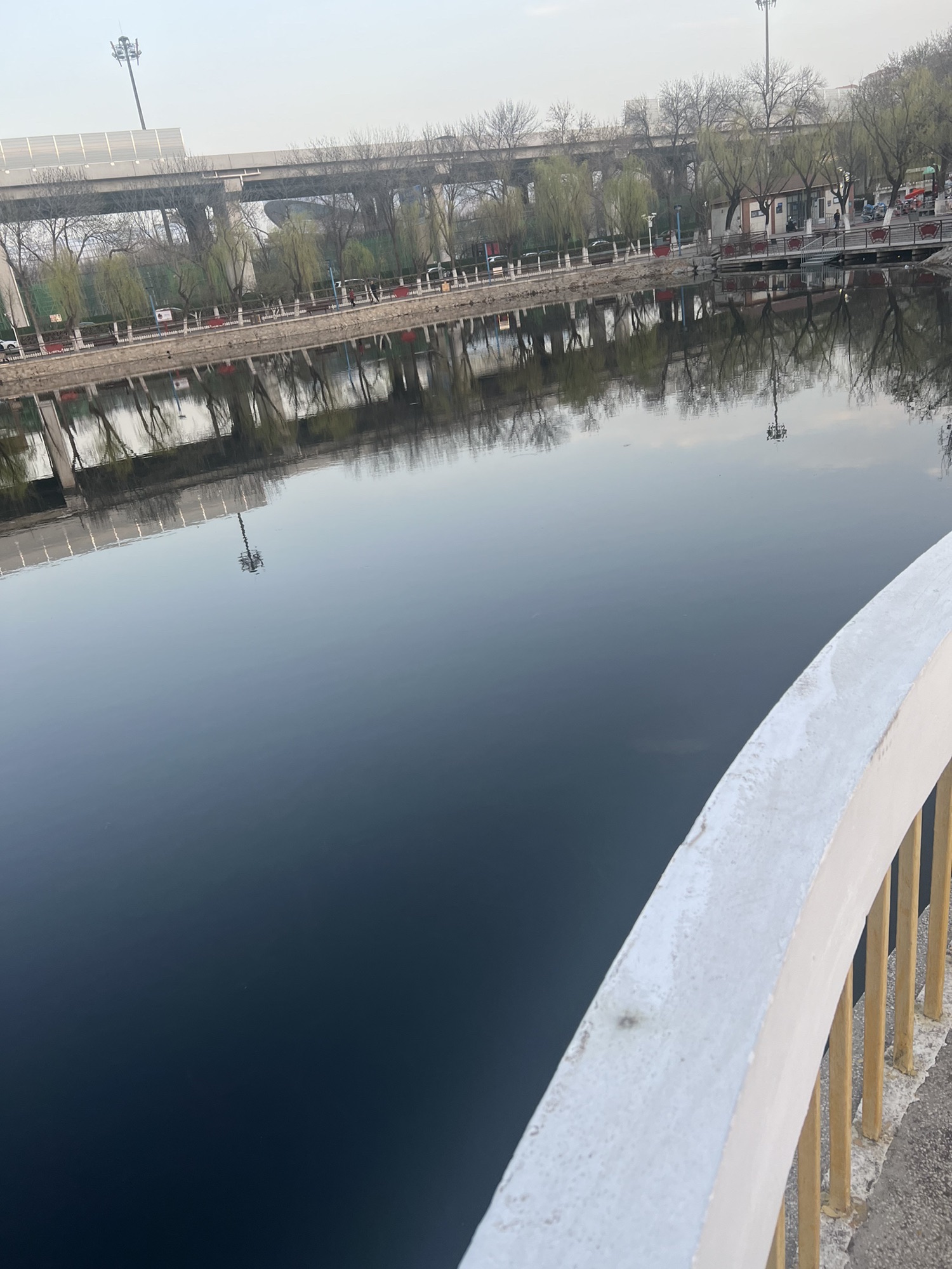 东丽公园旅行图片