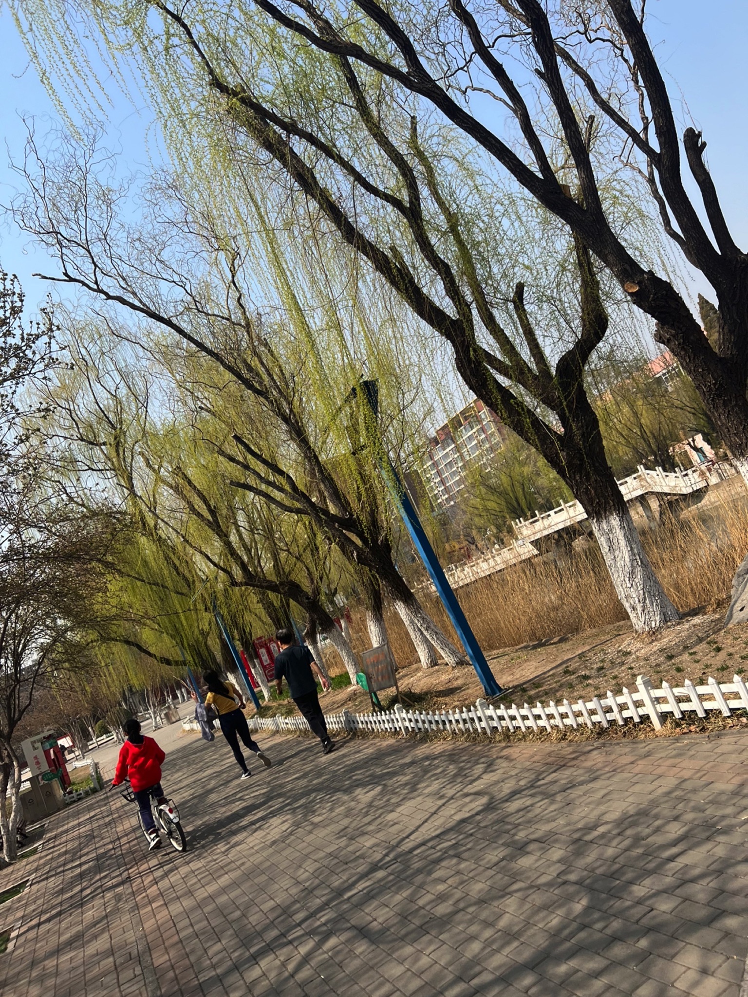 东丽公园旅行图片