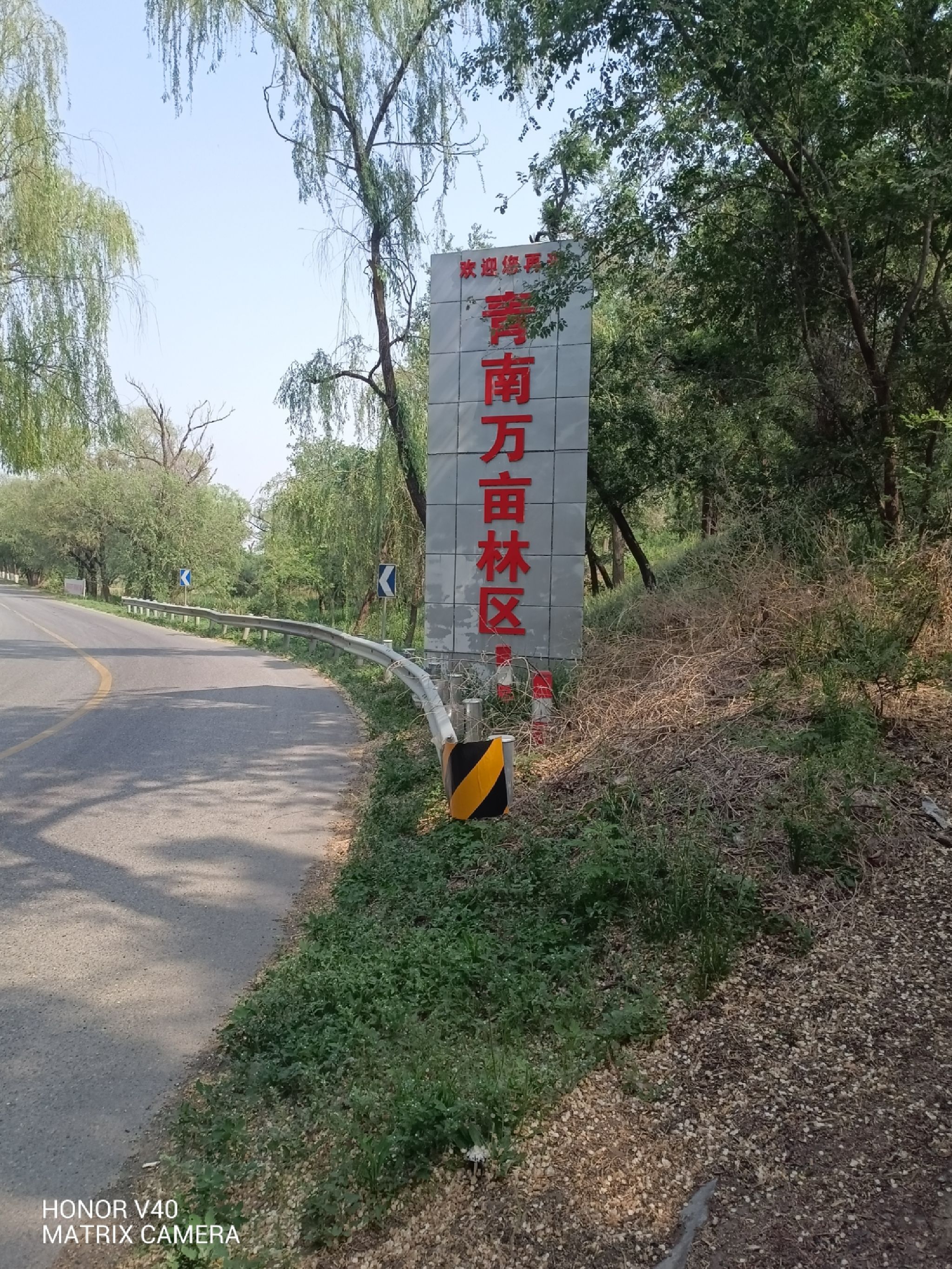青南万亩生态林景区