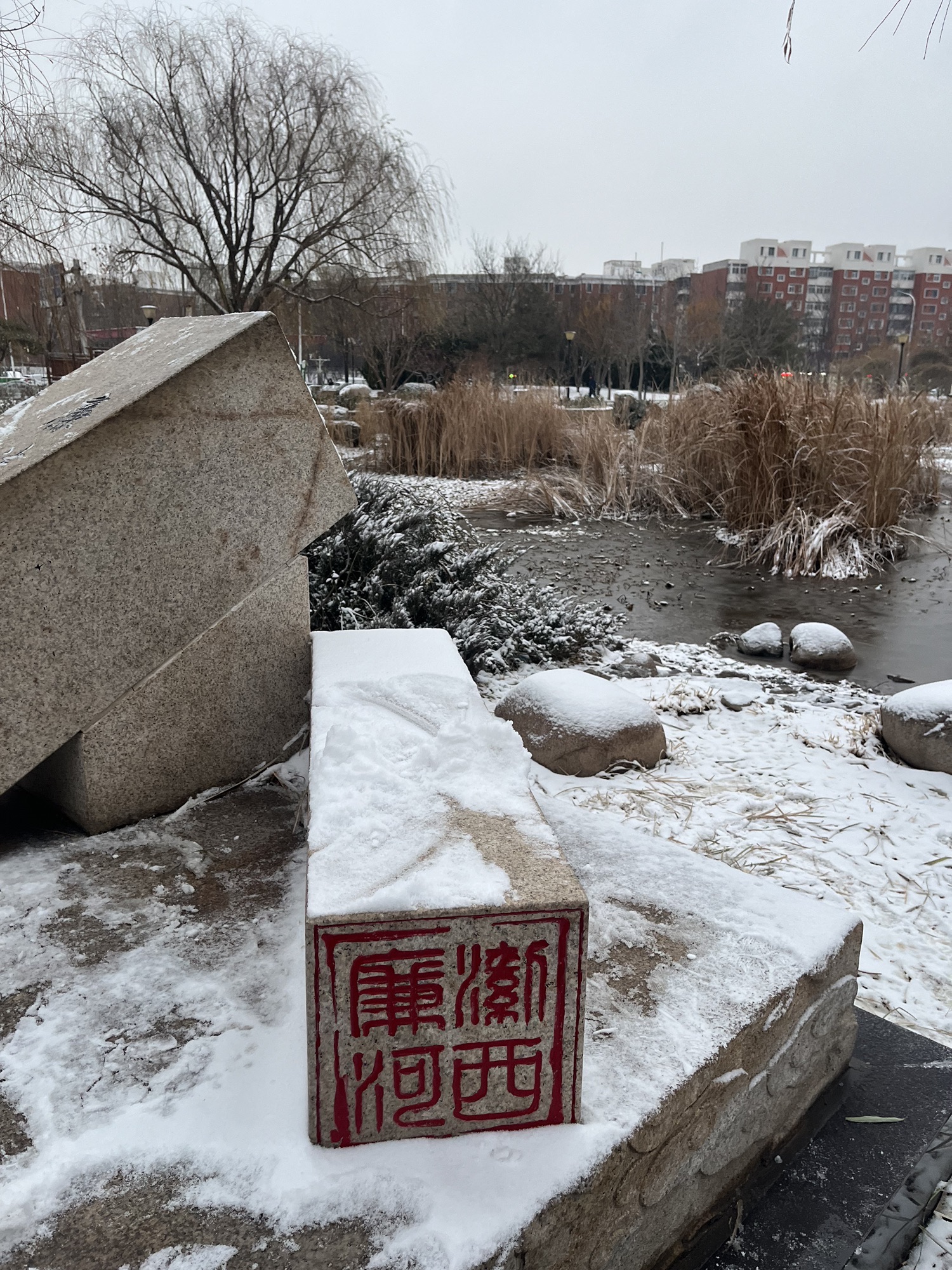 西柳公园