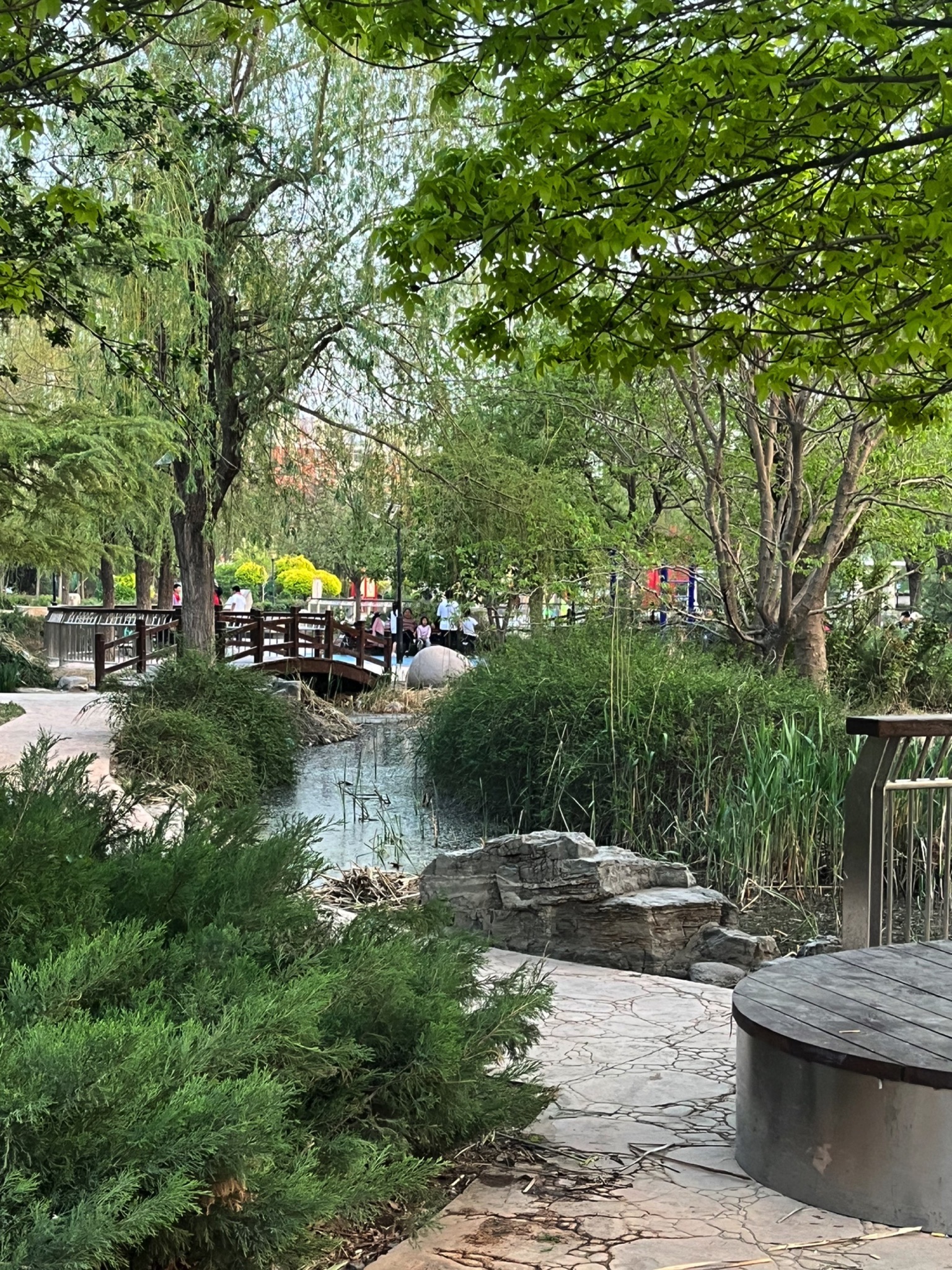 西柳公园旅行图片