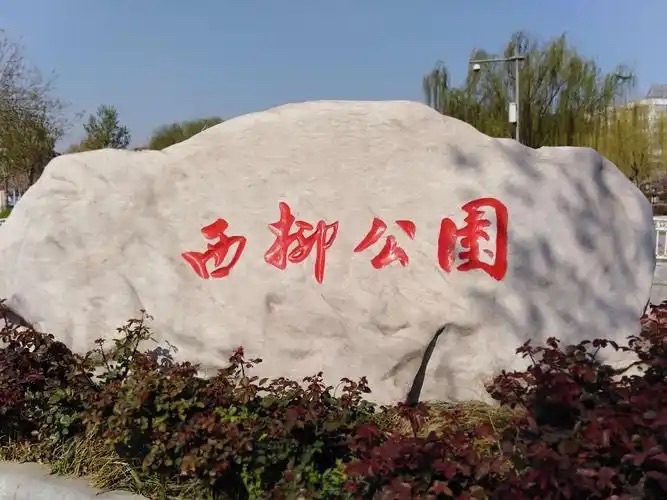 西柳公园旅行图片