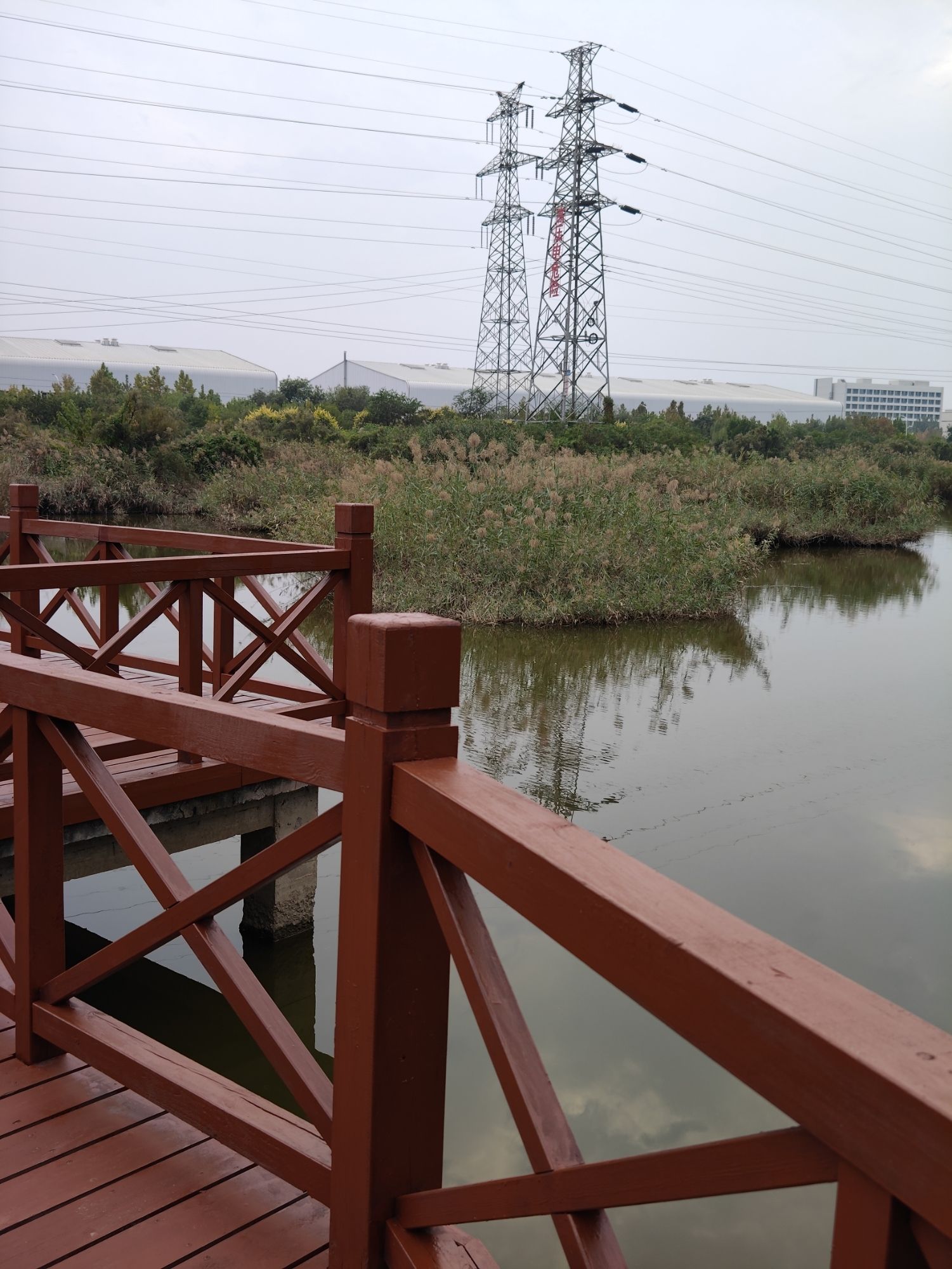 泰达西区湿地公园