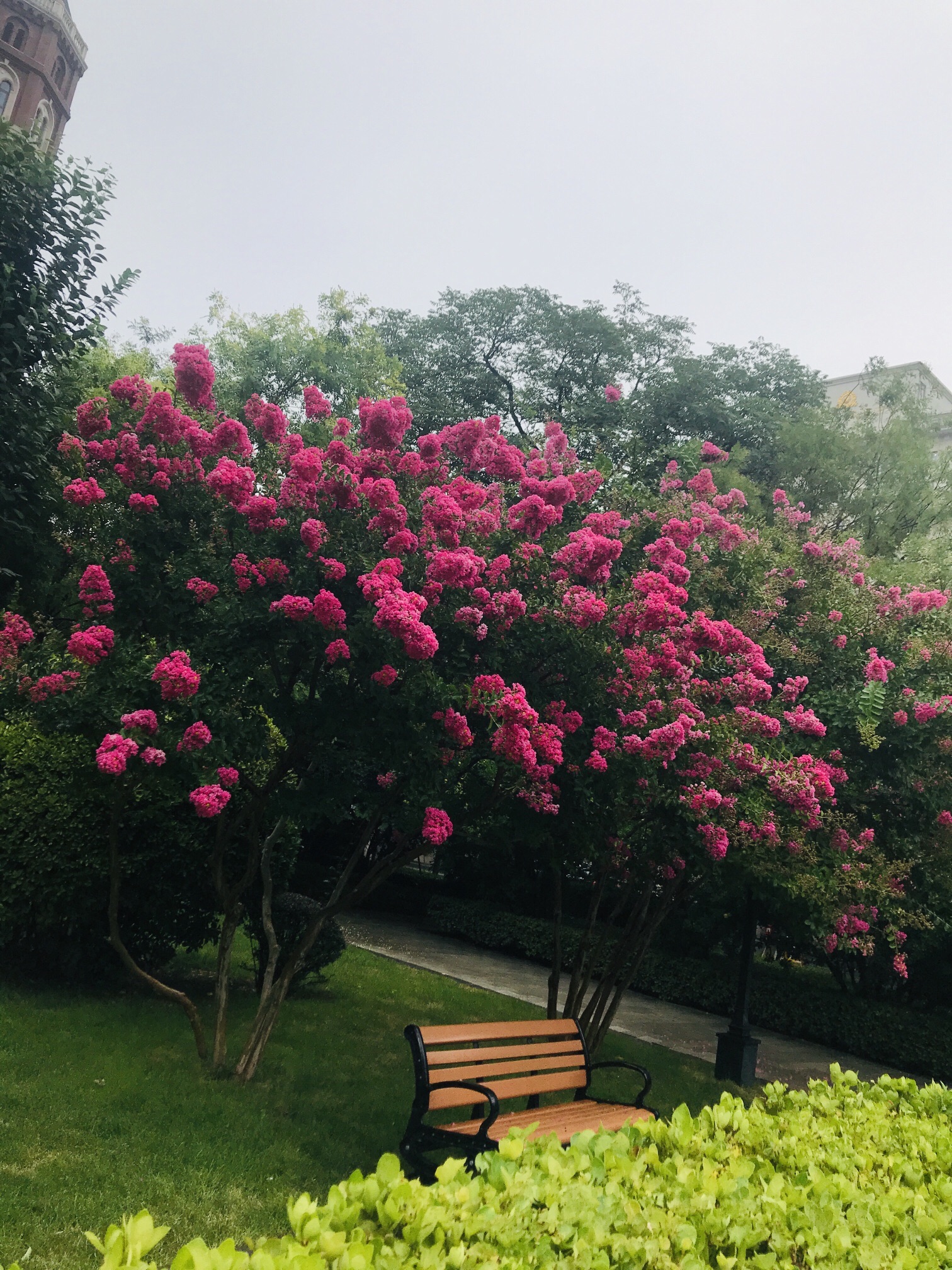 解放北园旅行图片