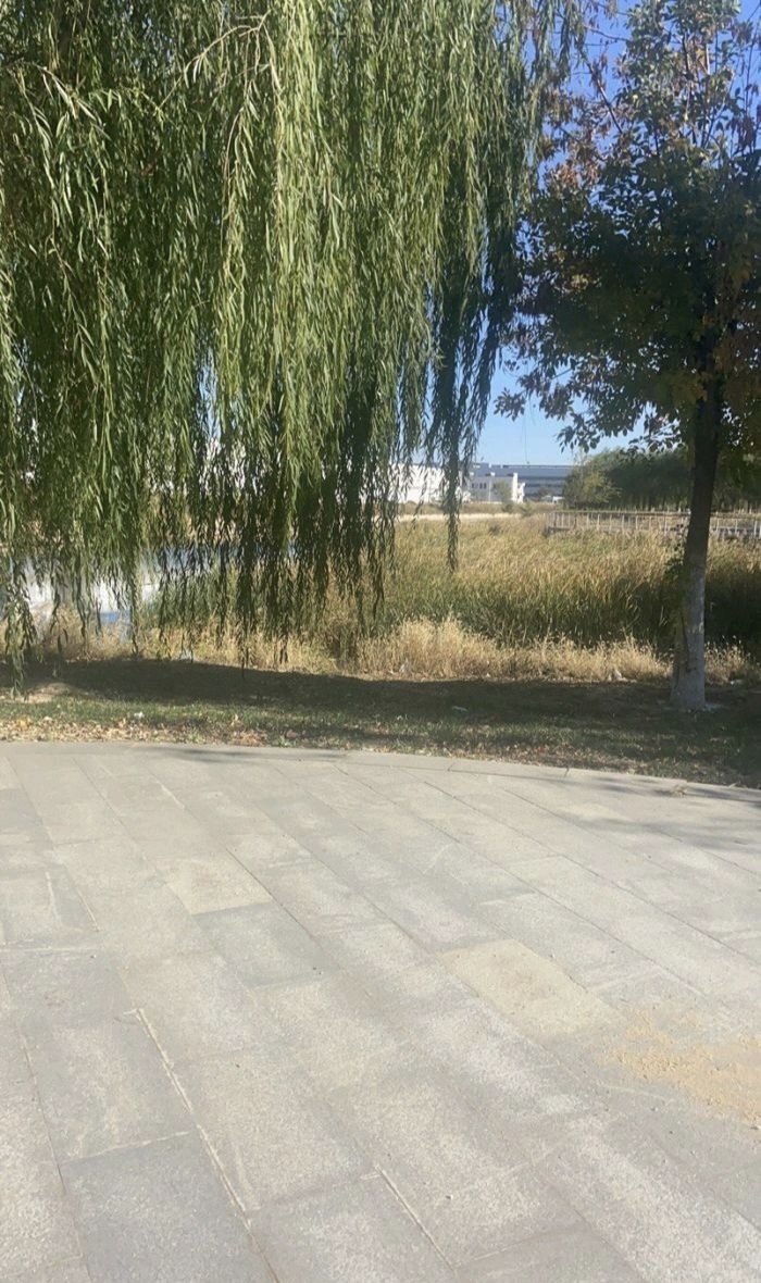 张家窝镇滨河公园