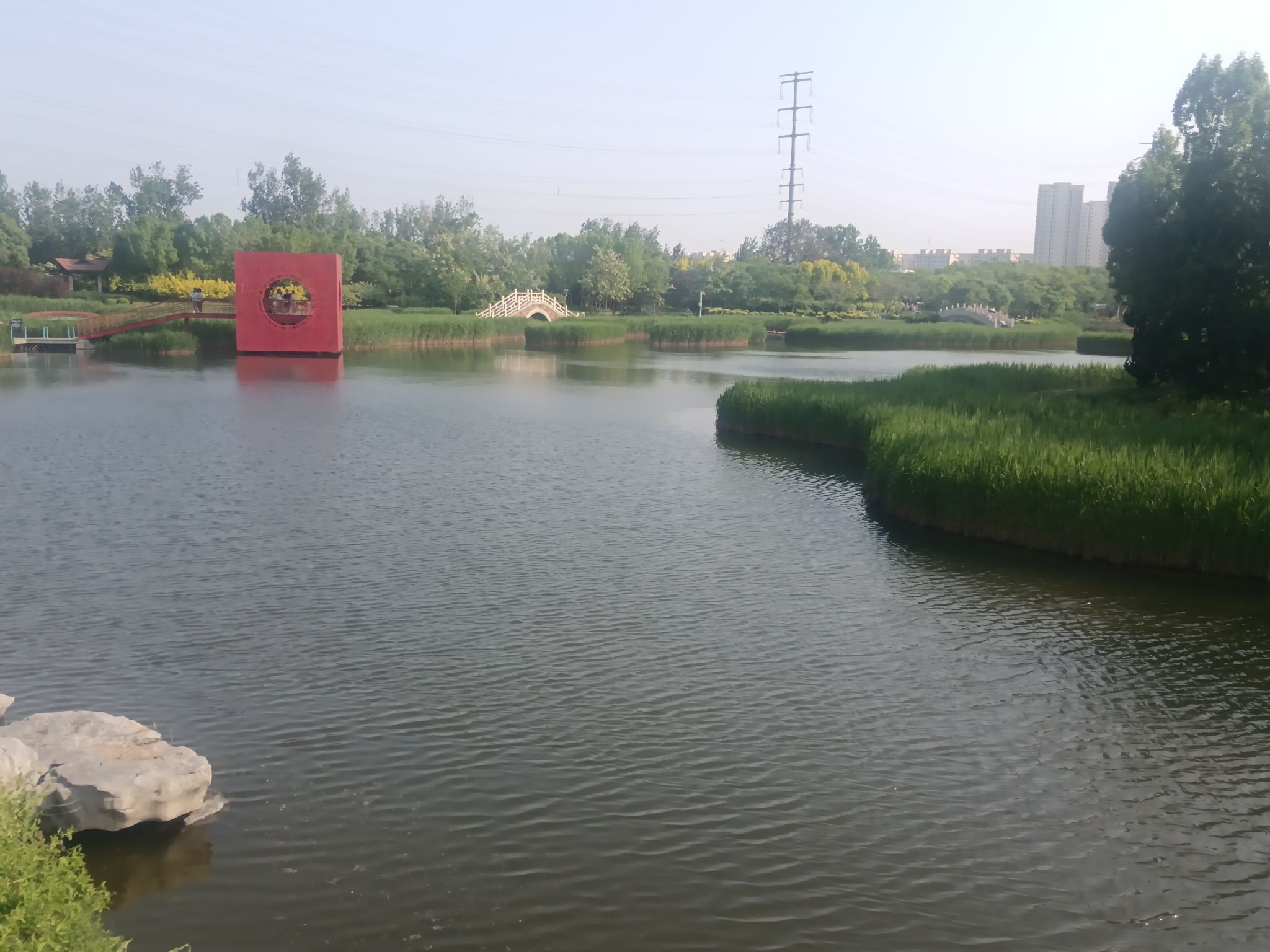 天津临港生态湿地公园