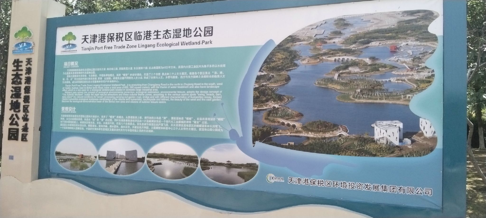 天津临港生态湿地公园旅行图片