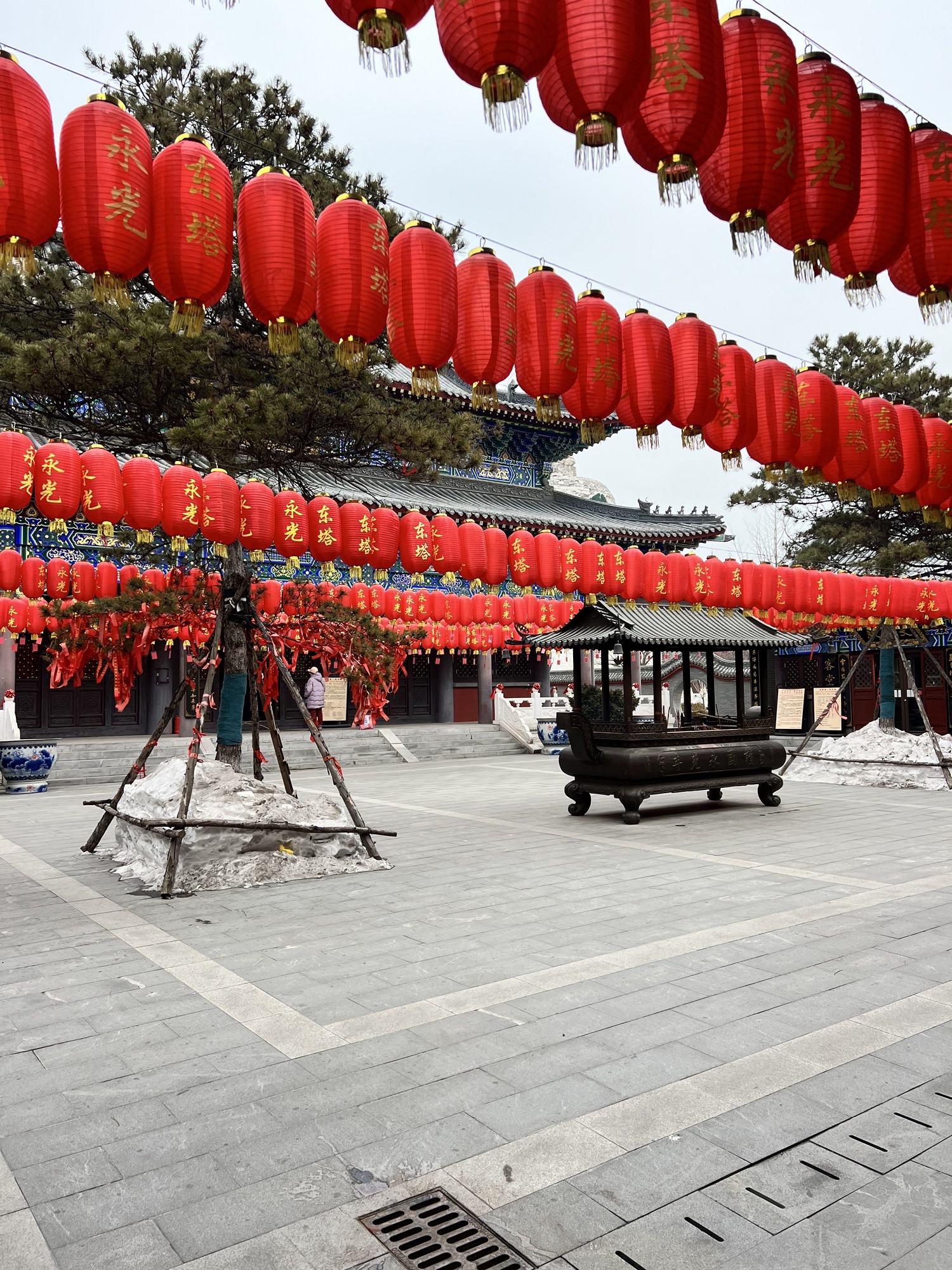 东塔园旅行图片