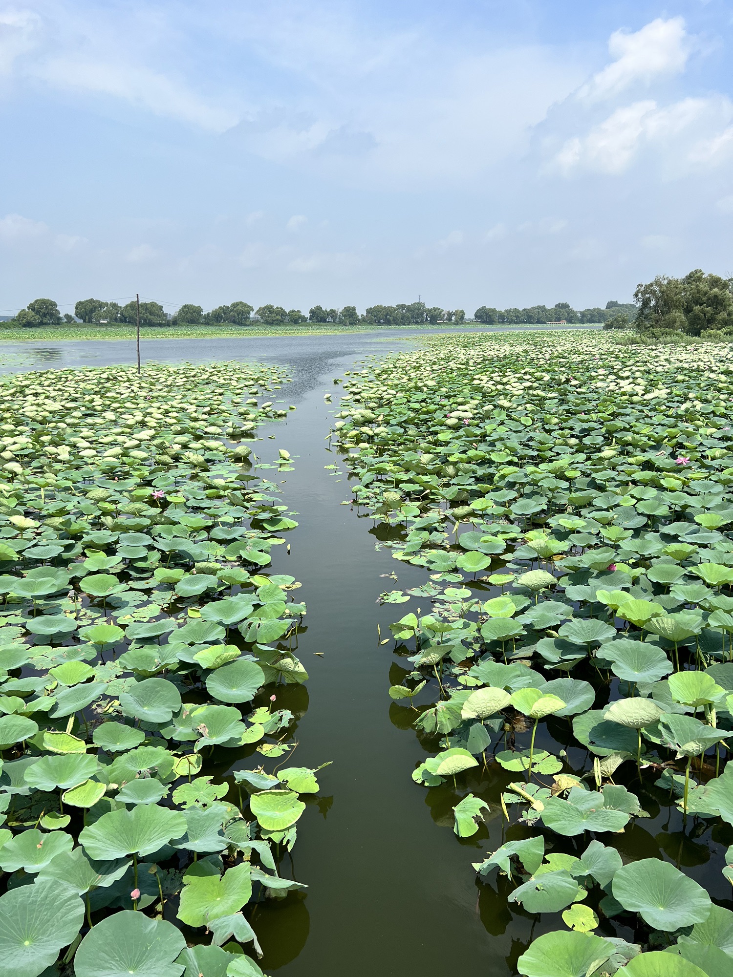 沈阳仙子湖风景旅游度假区