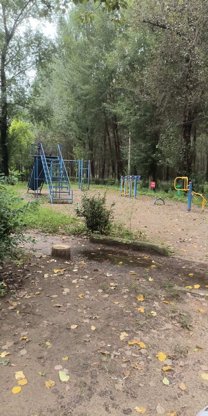 小城子森林公园