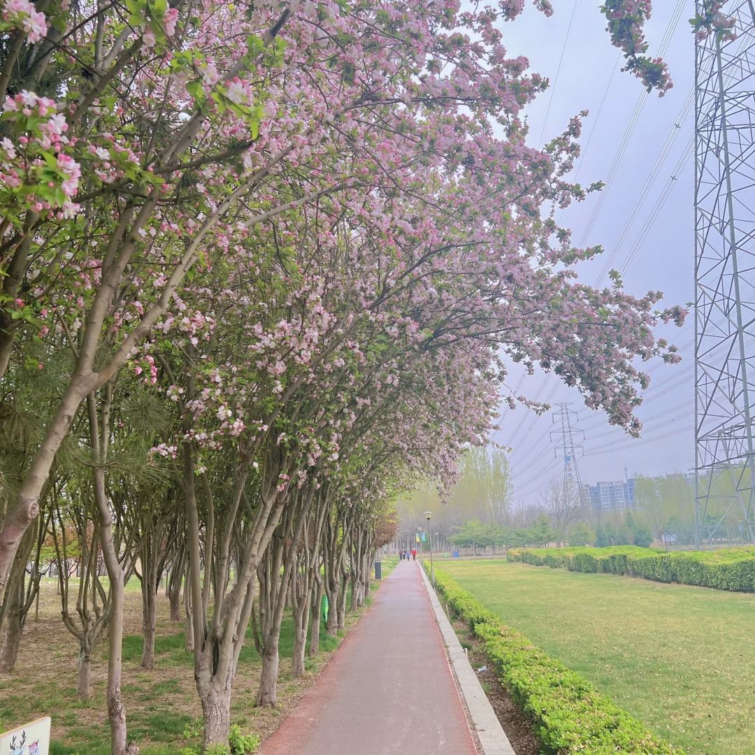 兴华公园