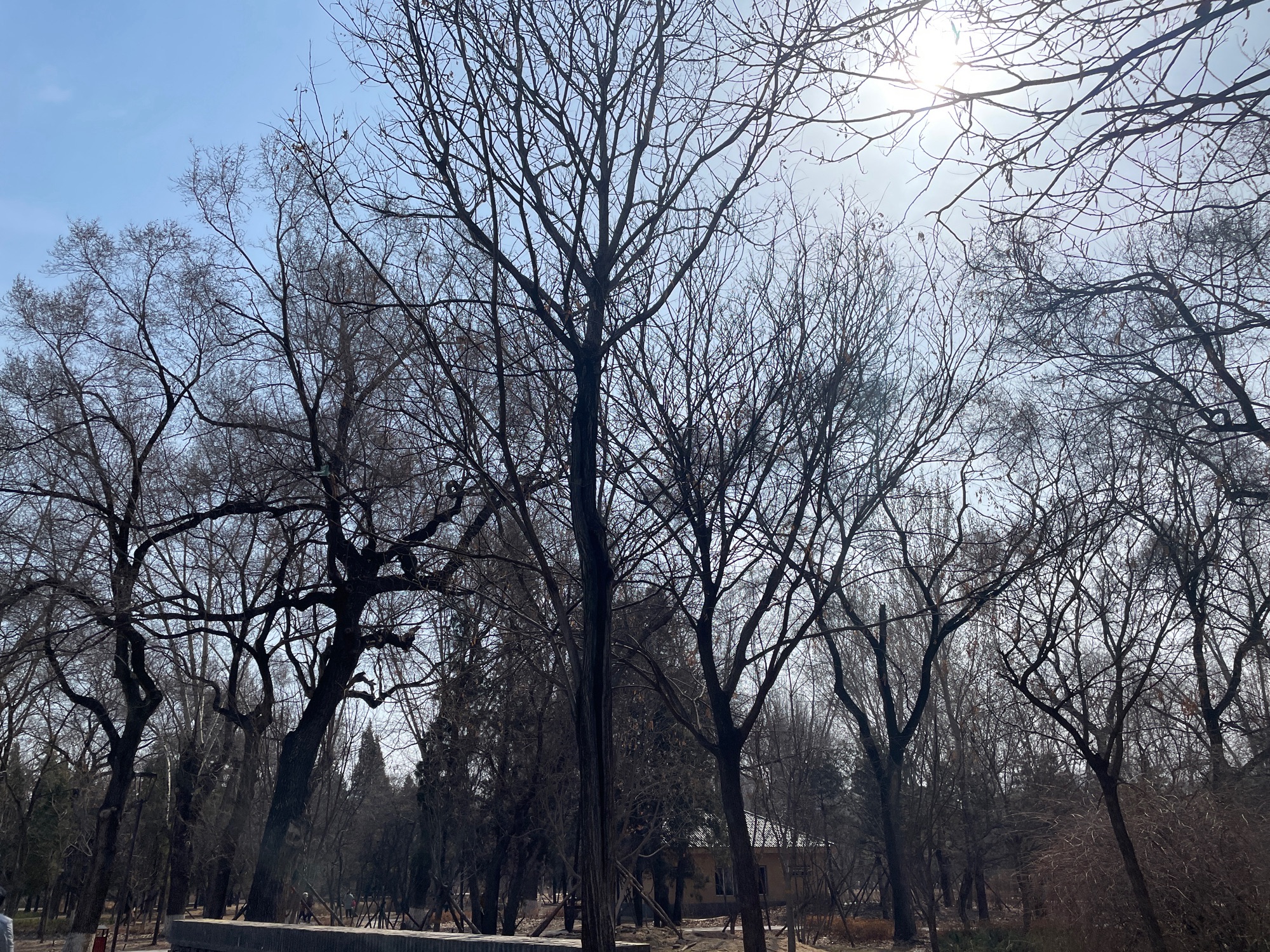 万泉公园旅行图片