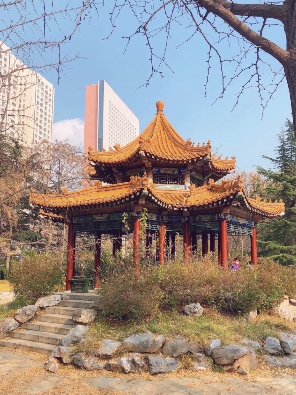 枫露公园旅行图片