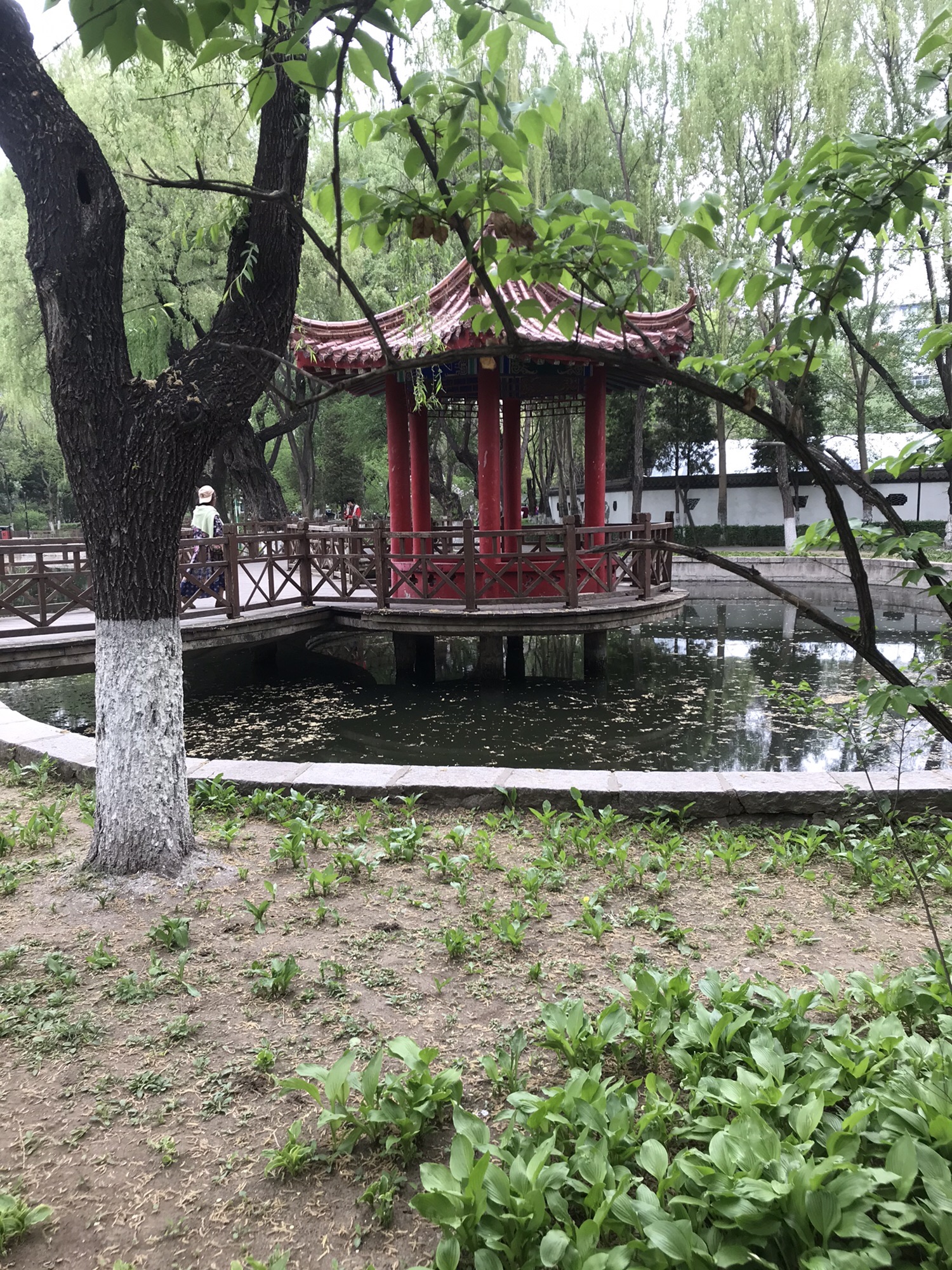 鲁迅公园