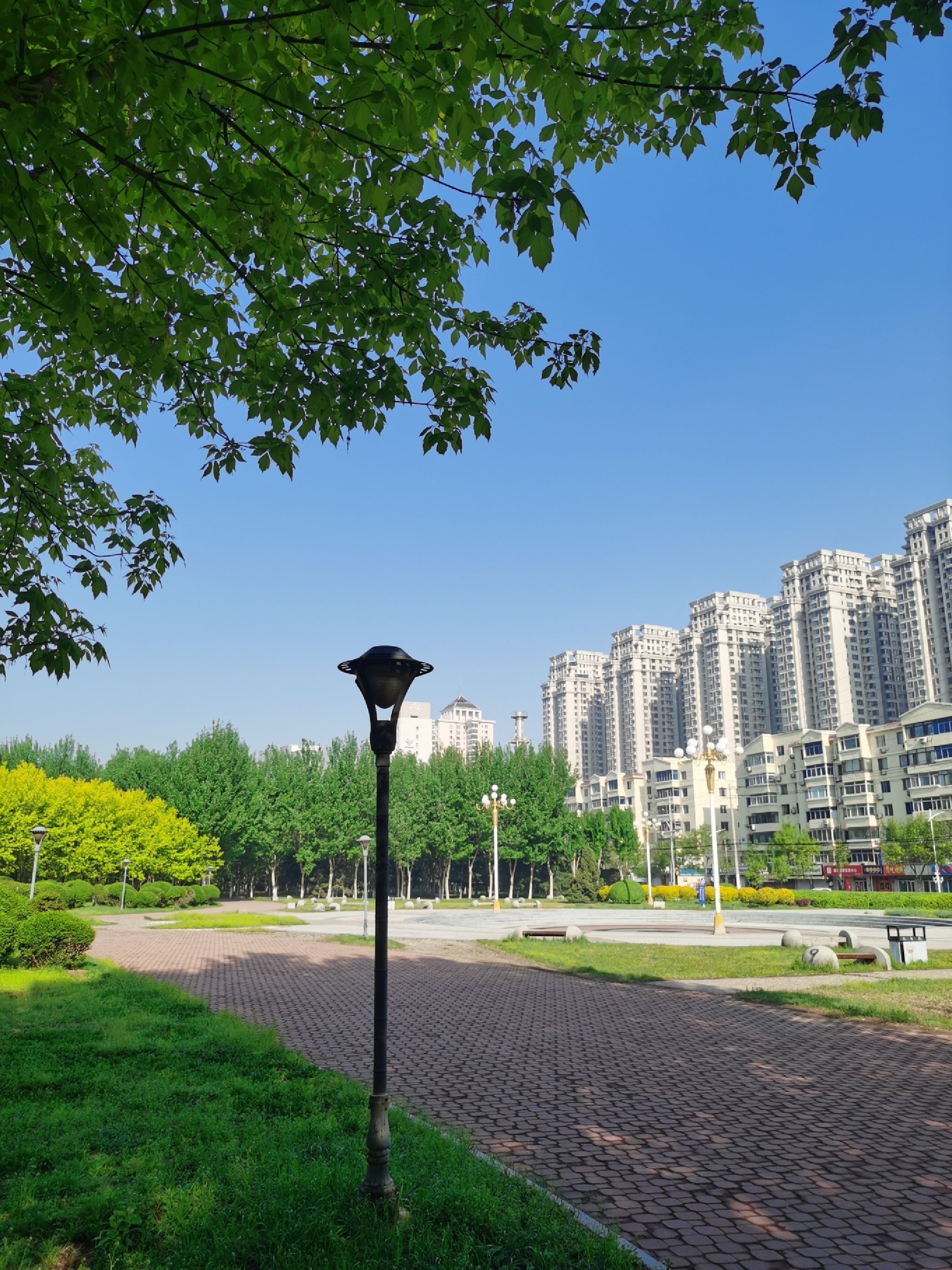 龙王庙公园