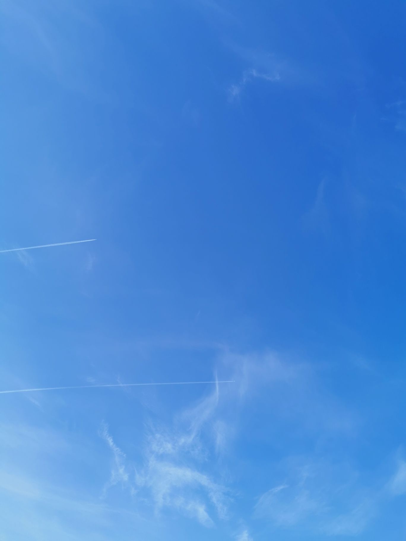 白清寨滑雪场(暂停开放)旅行图片