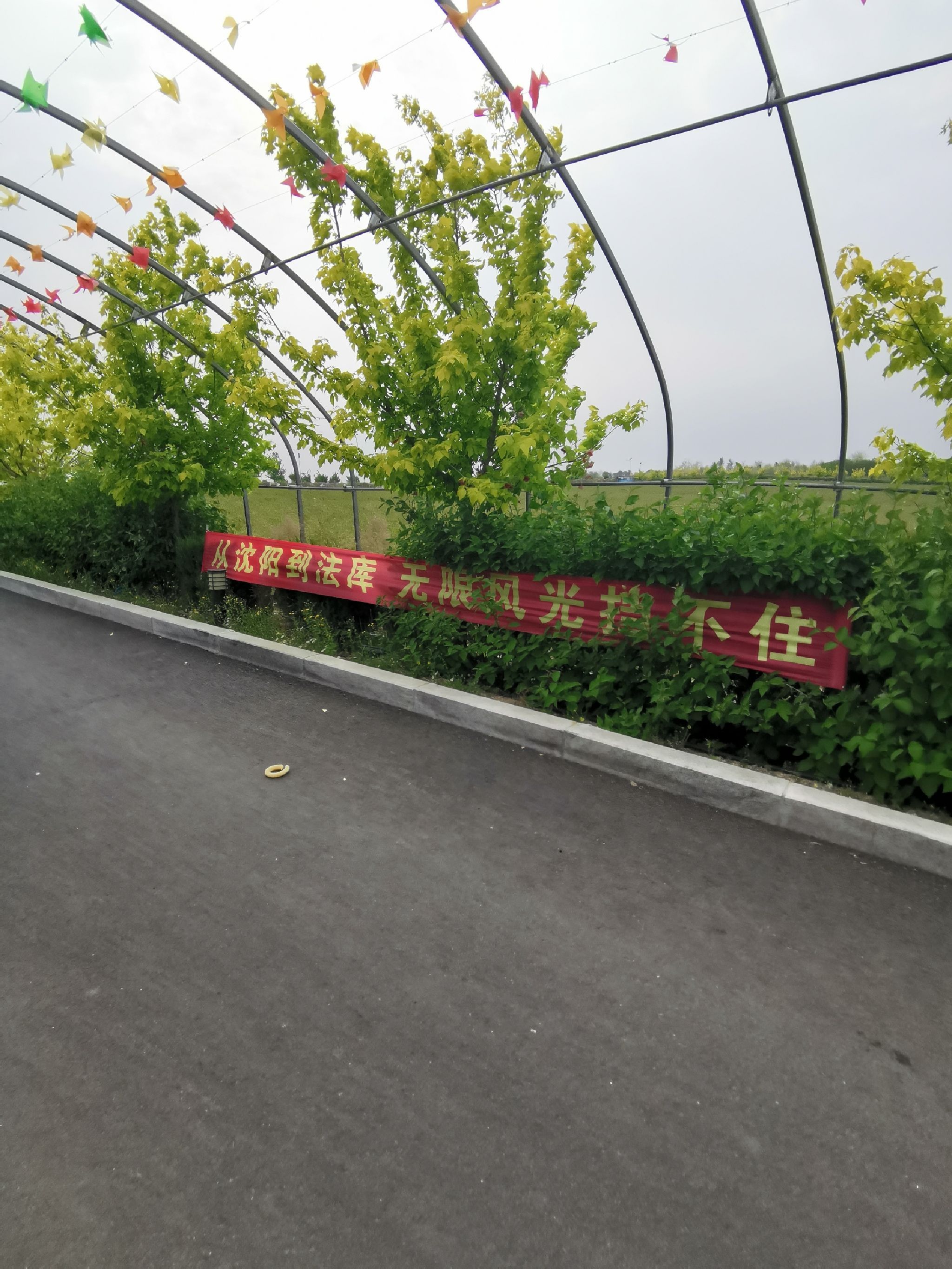 财湖旅游景区旅行图片