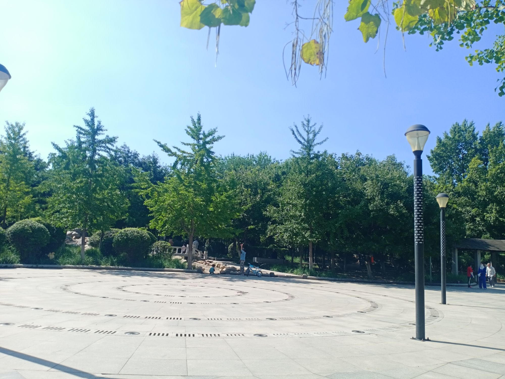 领事馆绿地旅行图片