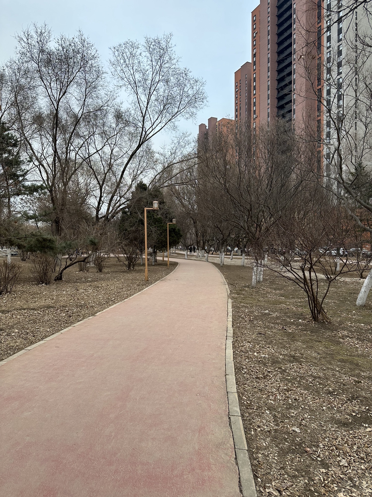 黎明公园旅行图片