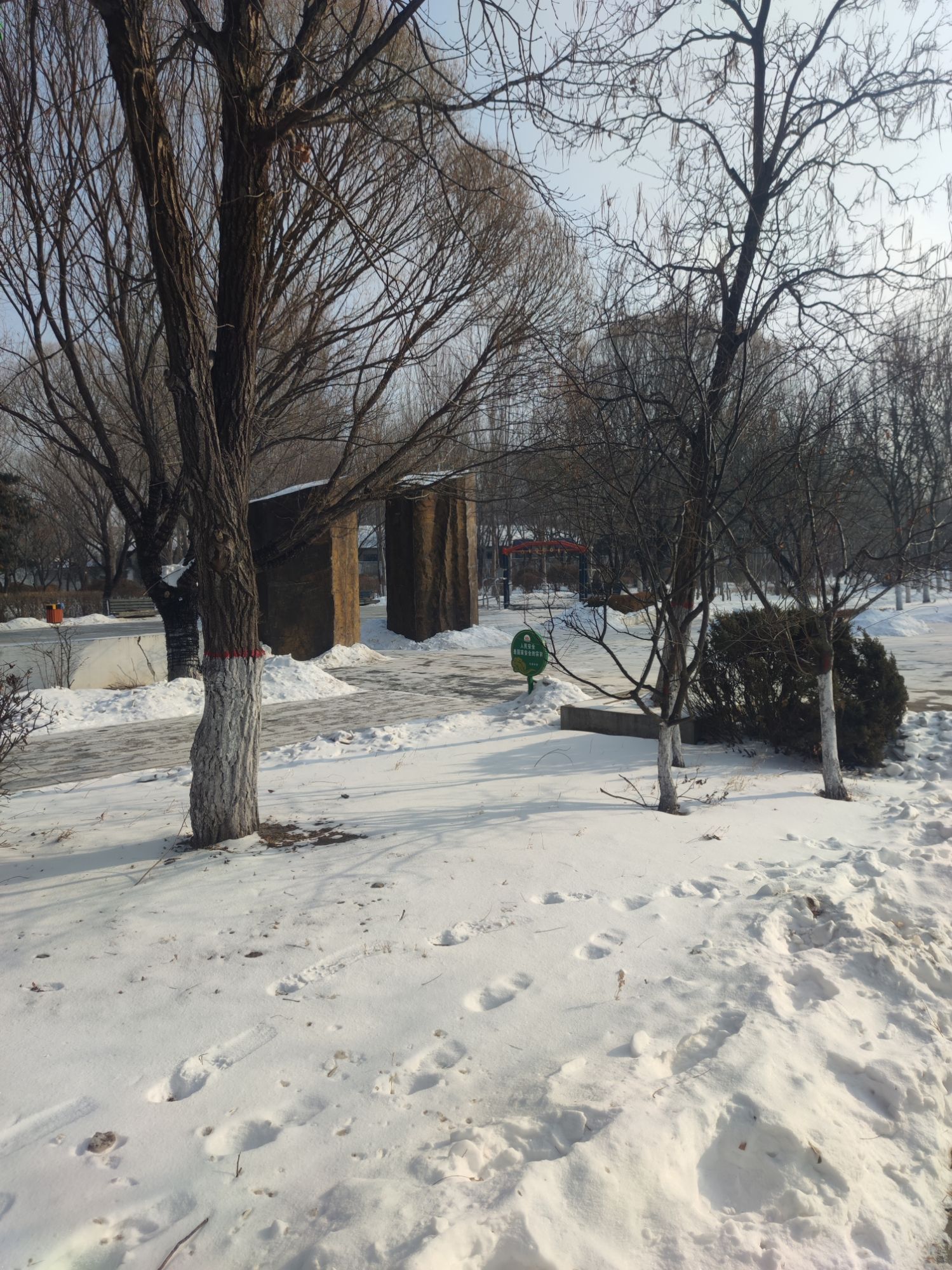 慧园旅行图片