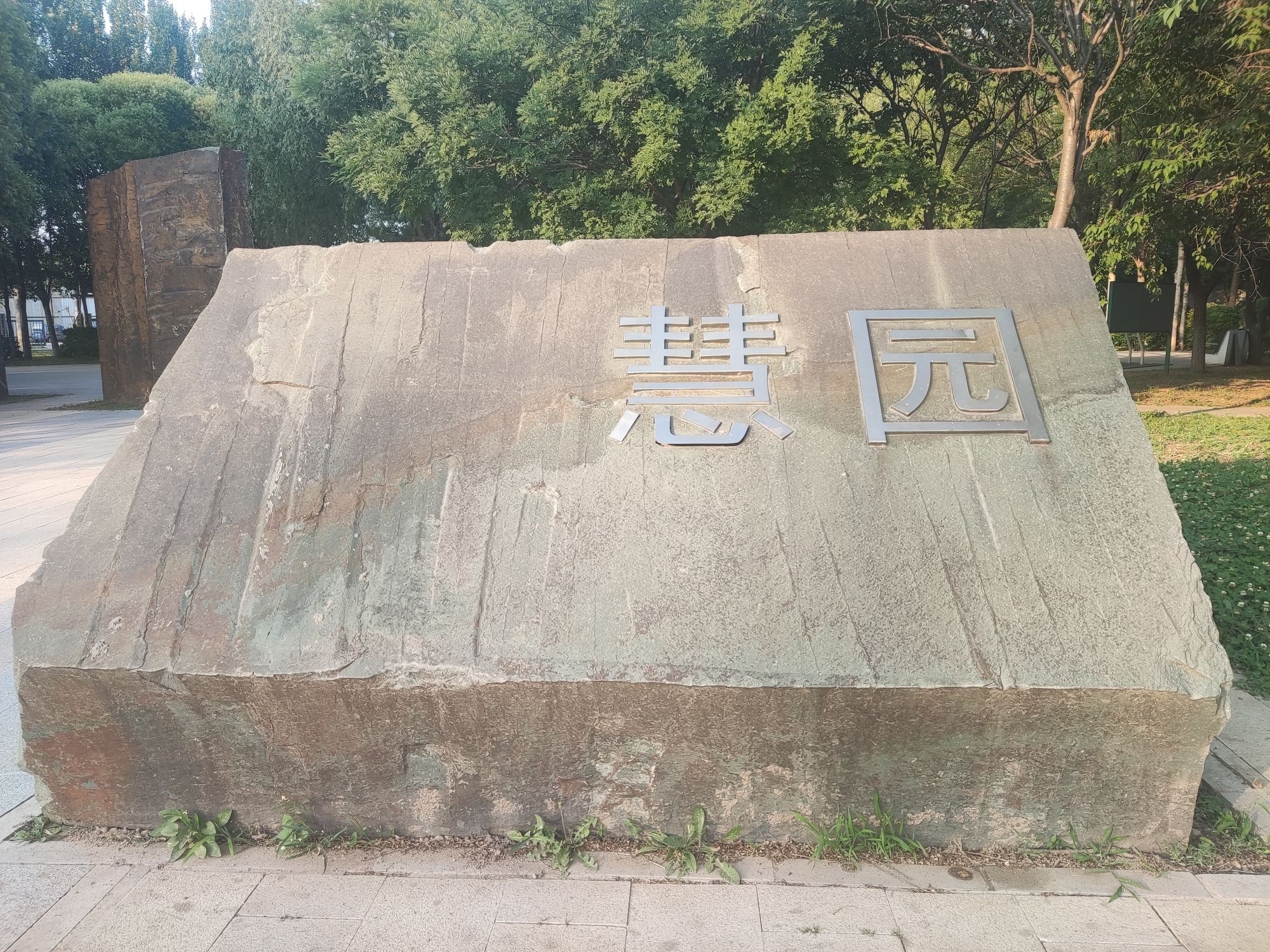 慧园旅行图片