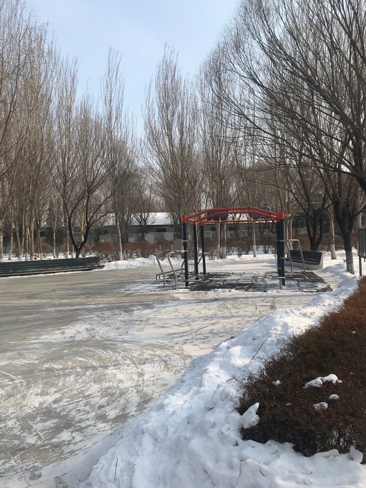 慧园旅行图片