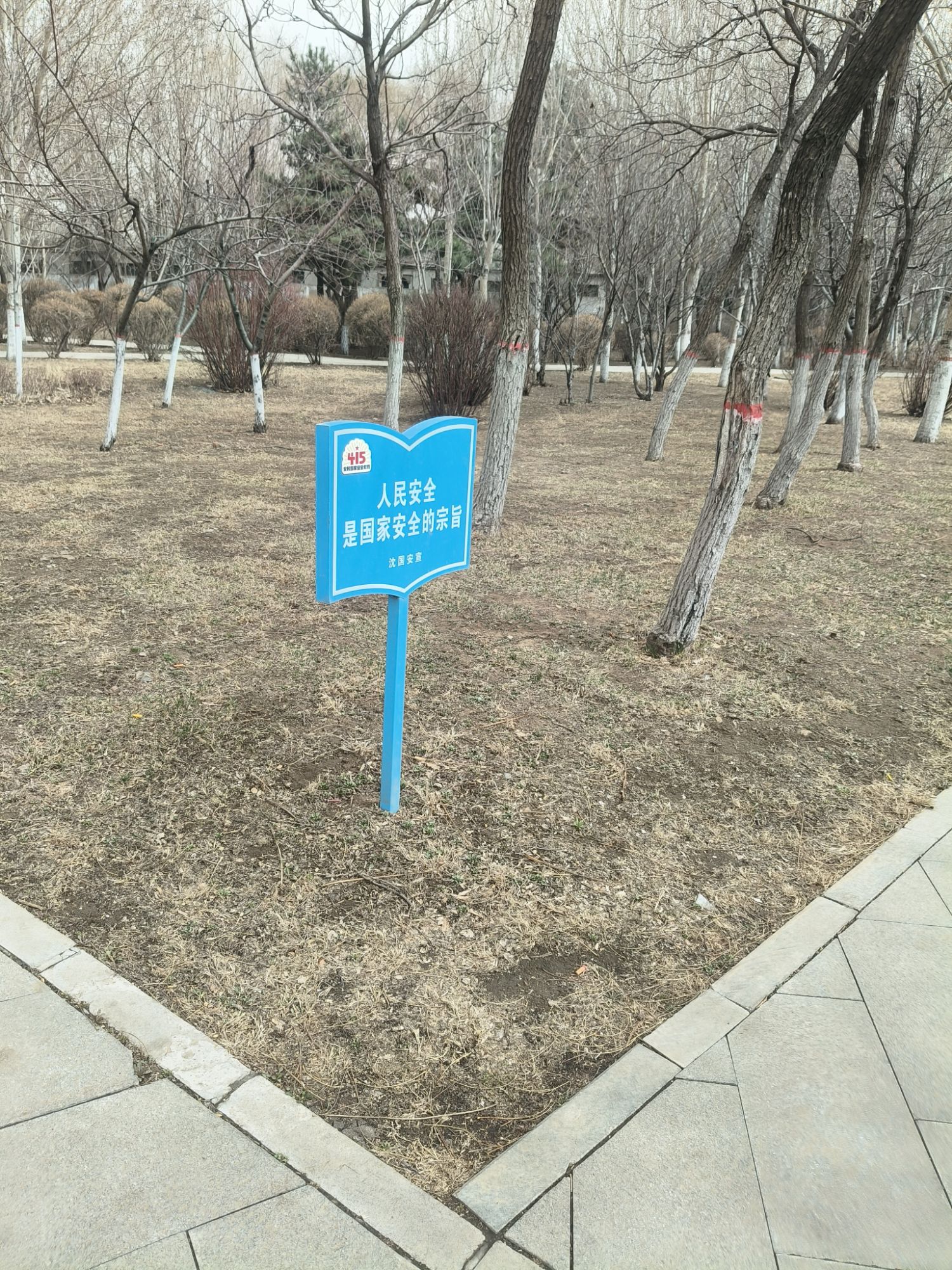 慧园旅行图片