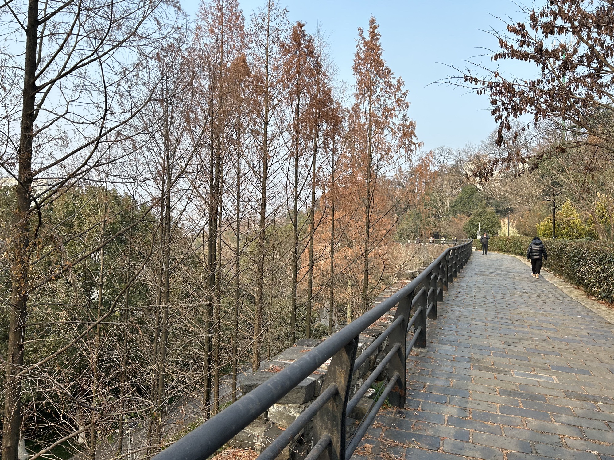 挹江门旅行图片