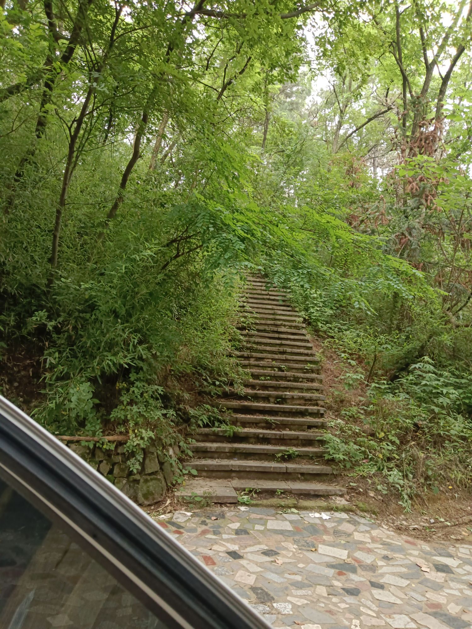 狮子山公园旅行图片