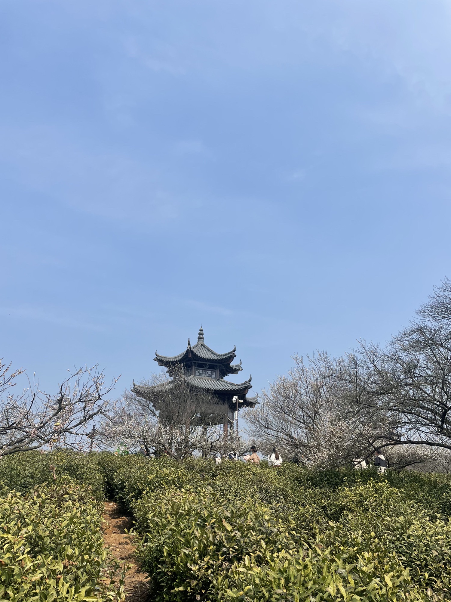 傅家边农业科技园