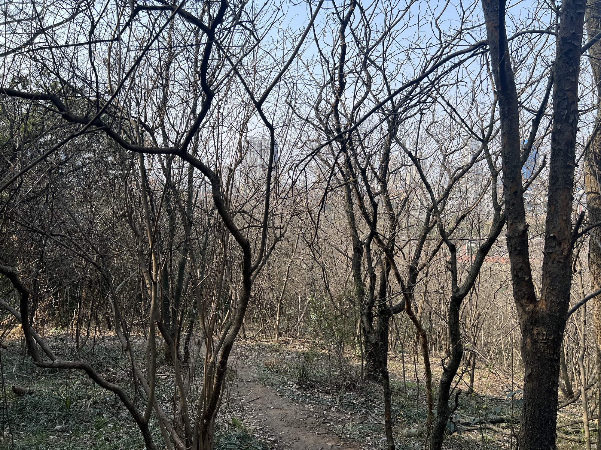 太子山公园