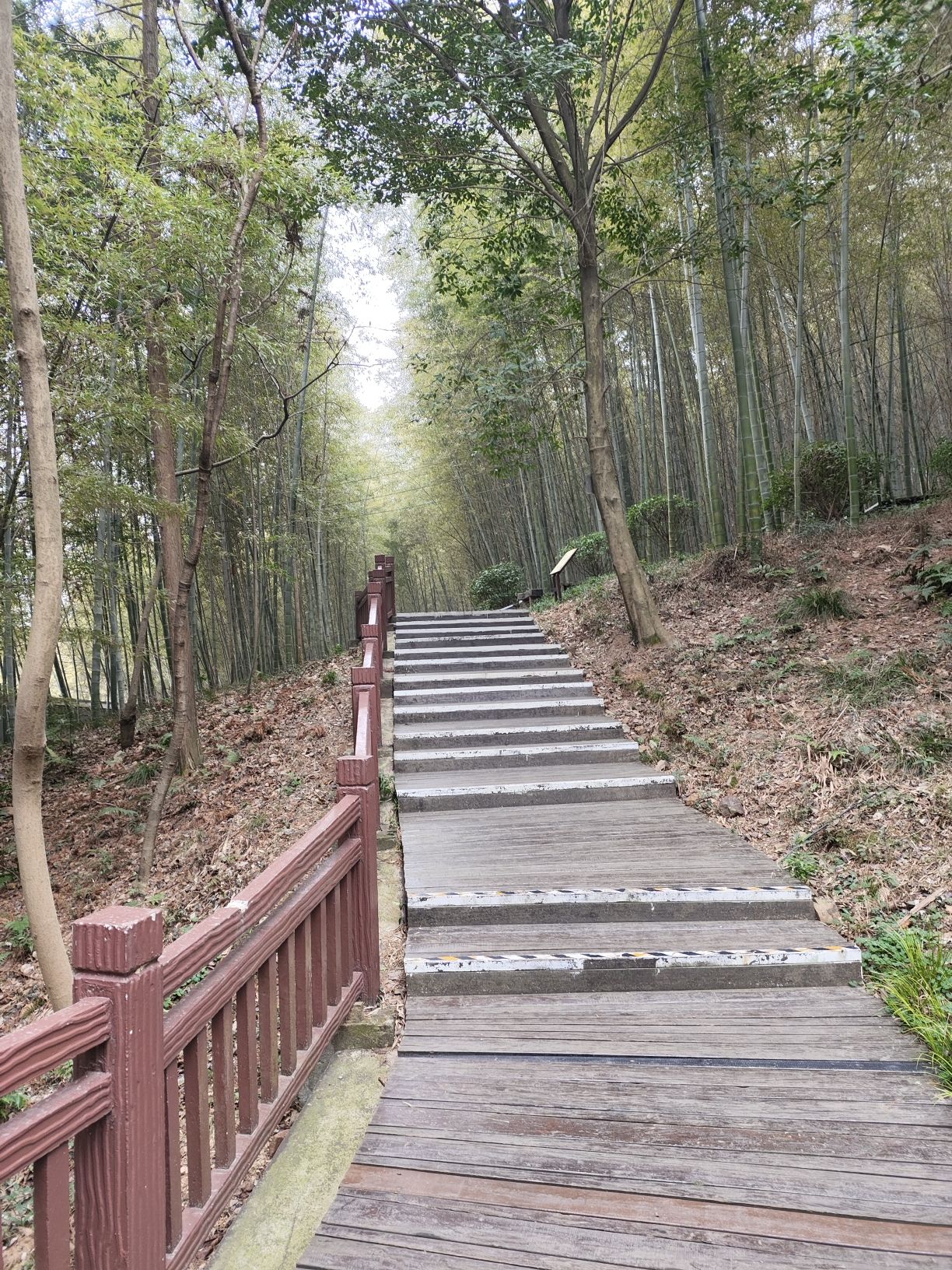 南京游子山休闲旅游区