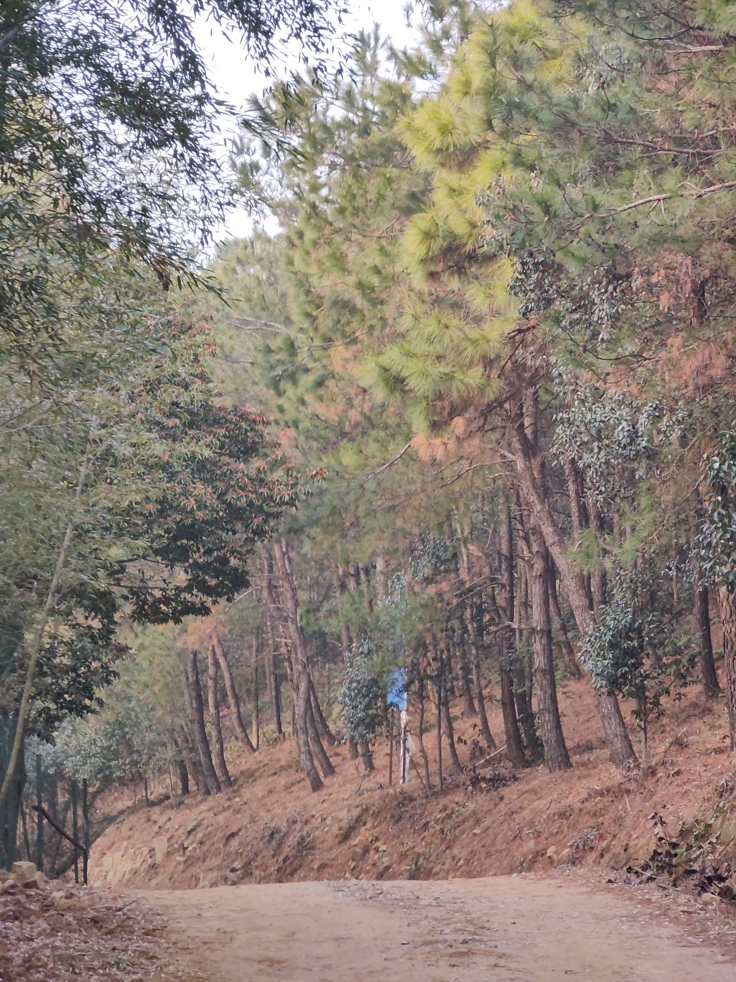 横山风景区