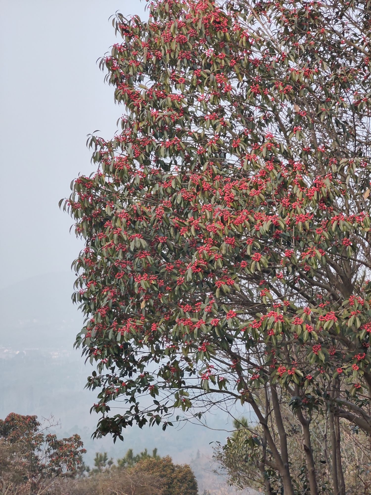 横山风景区旅行图片
