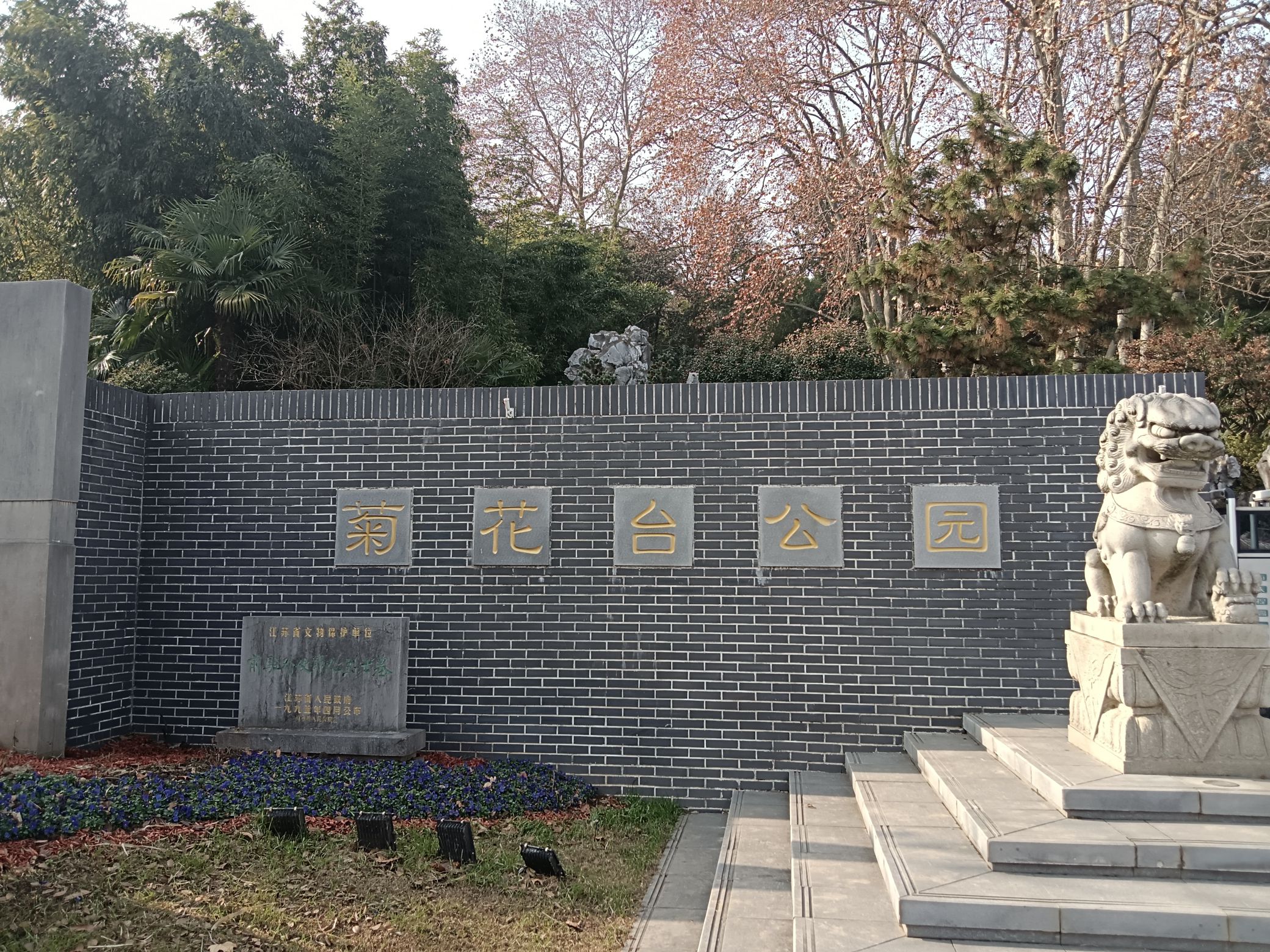菊花台公园旅行图片