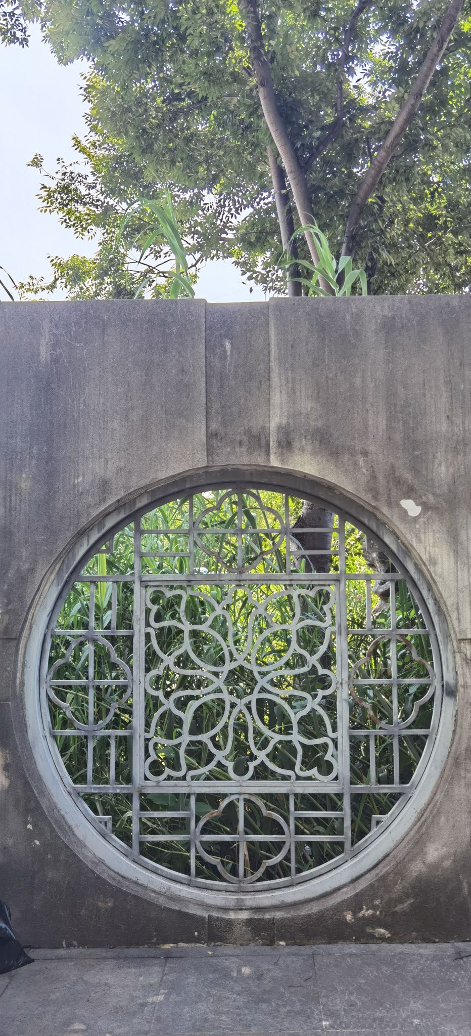 菊花台公园旅行图片