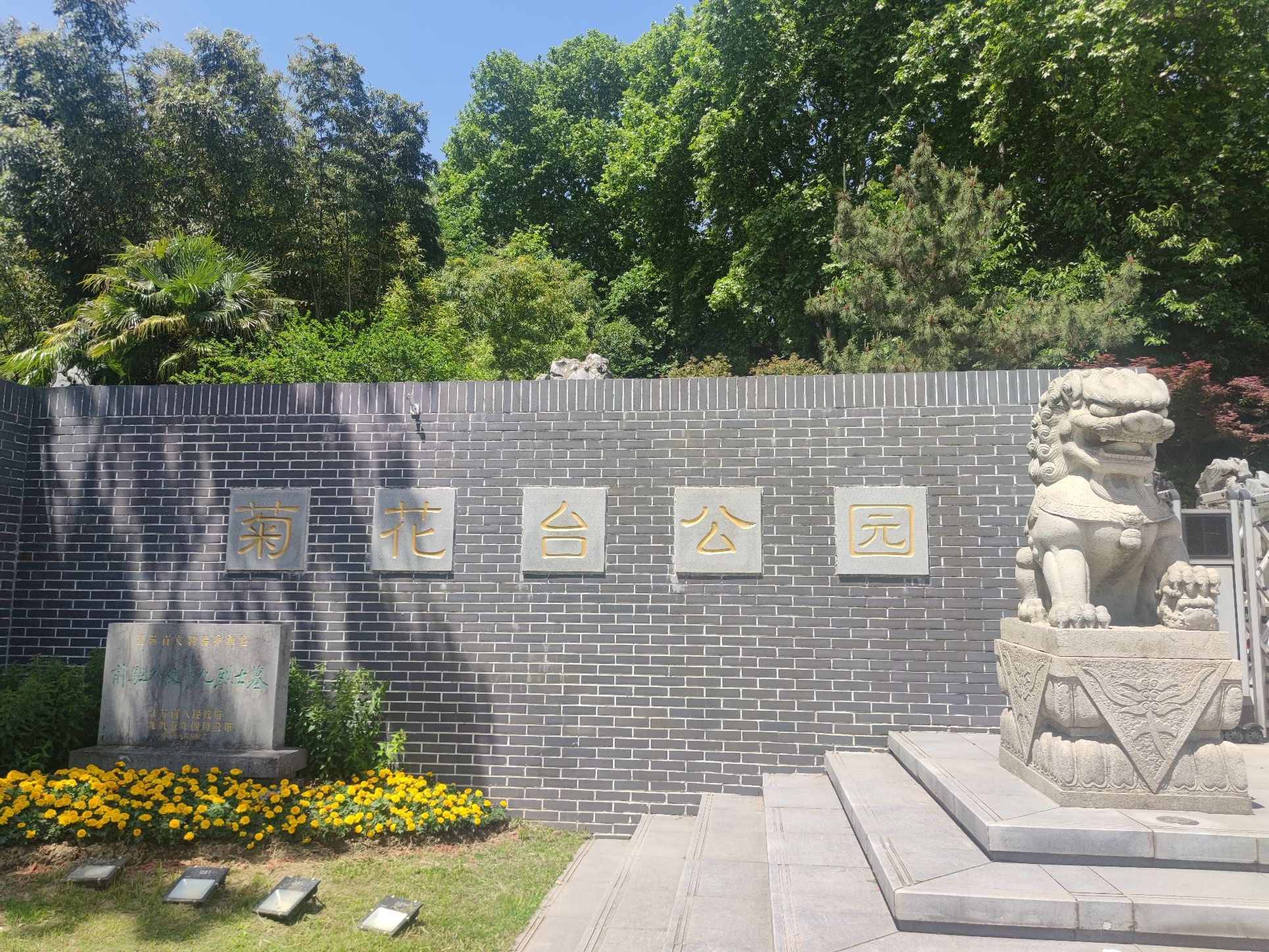菊花台公园旅行图片
