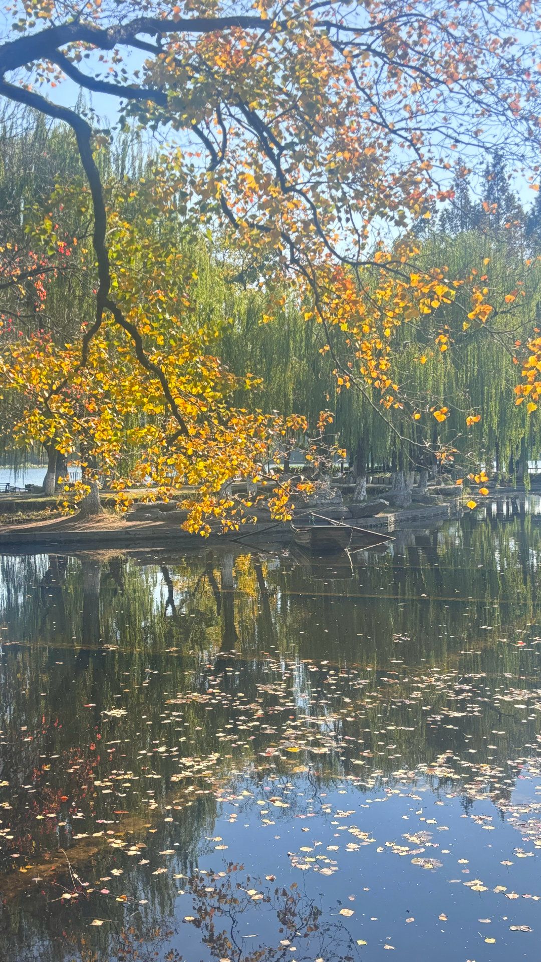 莫愁湖公园