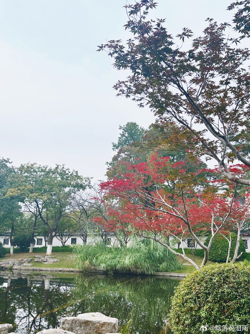 莫愁湖公园旅行图片