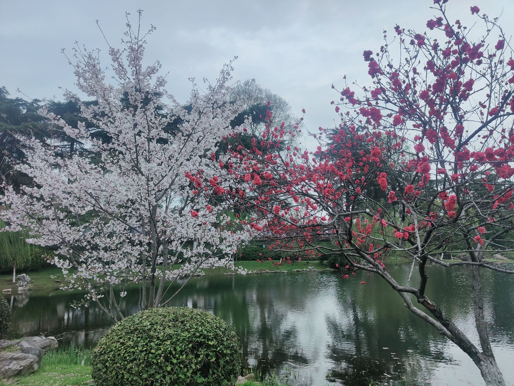 莫愁湖公园旅行图片