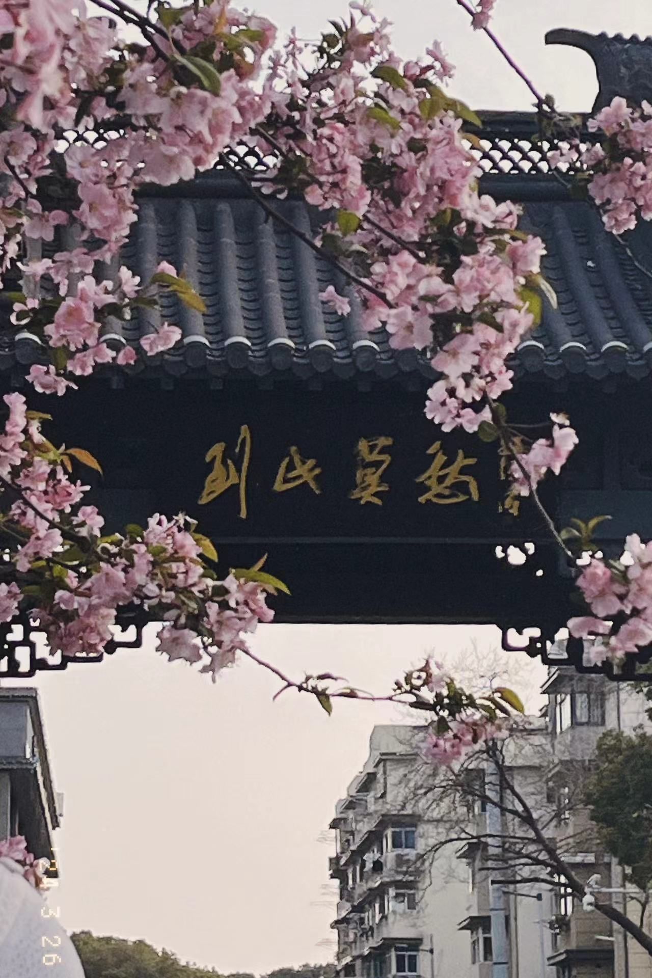 莫愁湖公园旅行图片
