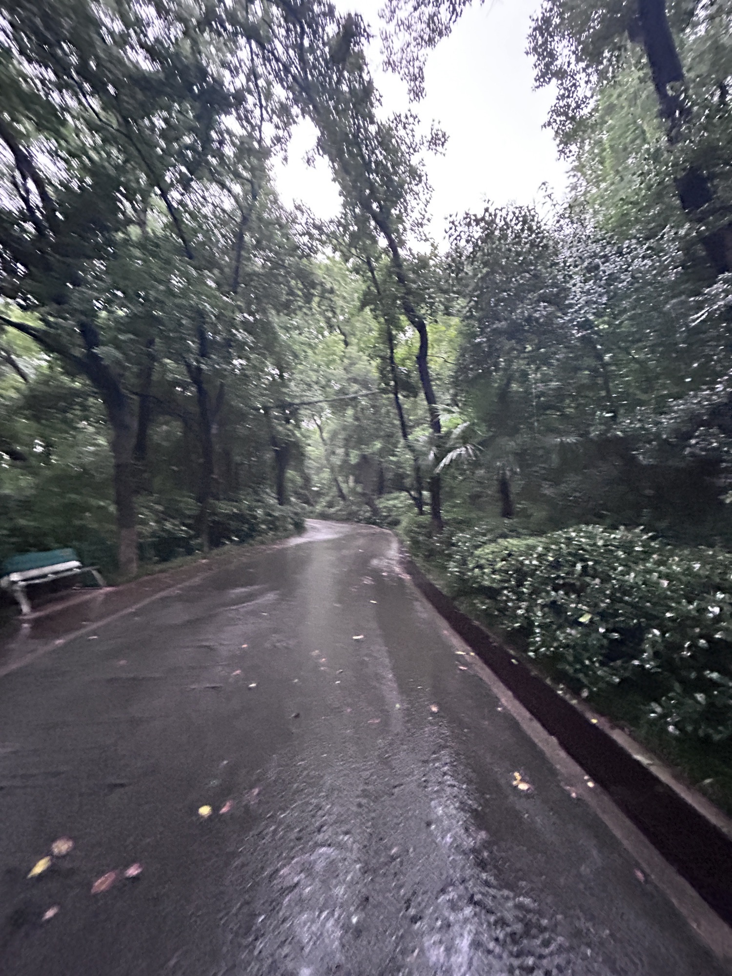 北极阁公园旅行图片