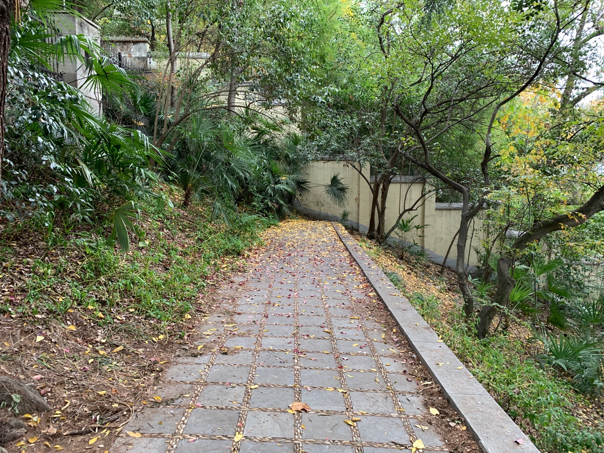 北极阁公园旅行图片