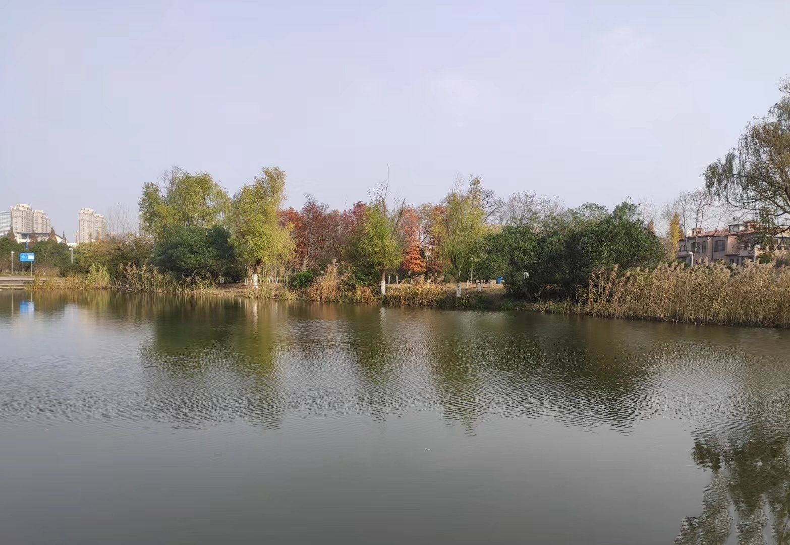江宁大学城公园旅行图片