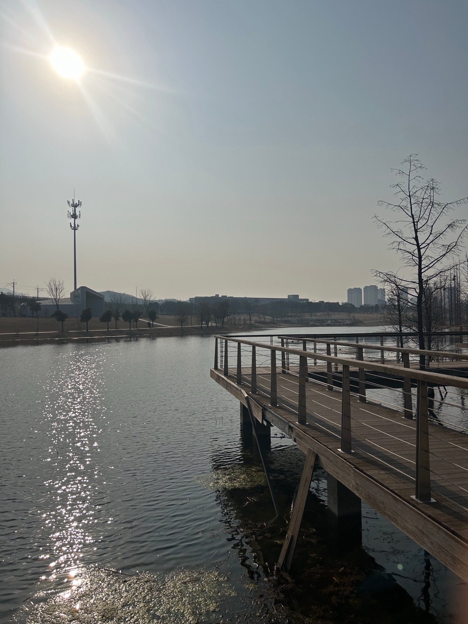 南京聚宝山公园旅行图片