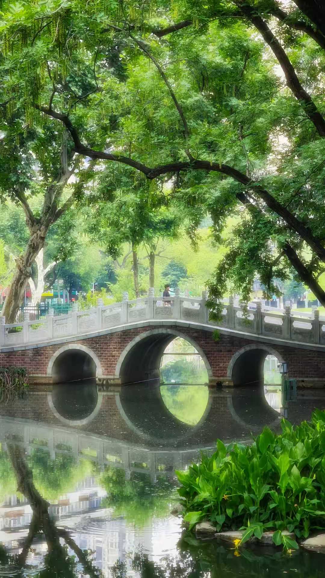 中山公园旅行图片