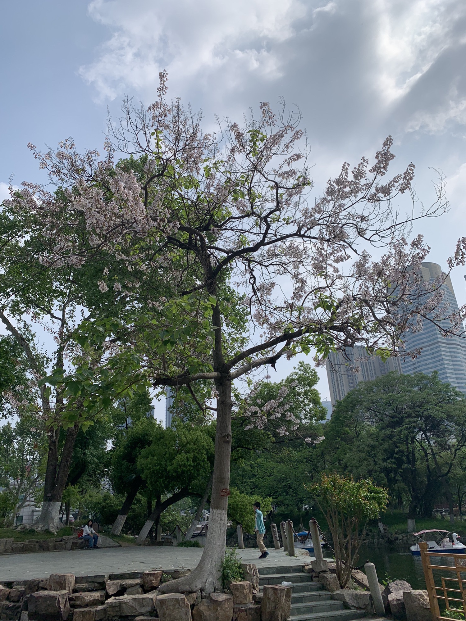 中山公园旅行图片