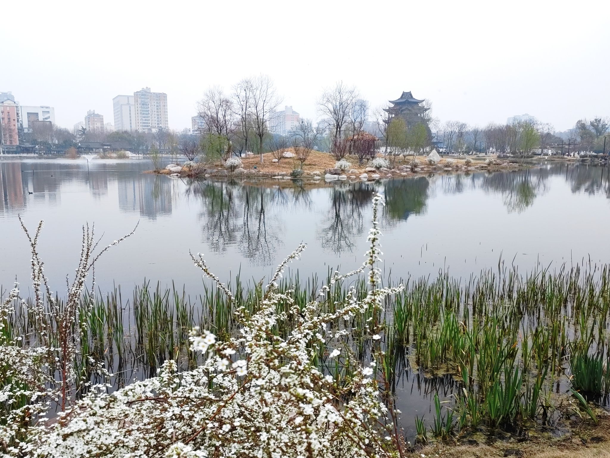 紫阳公园