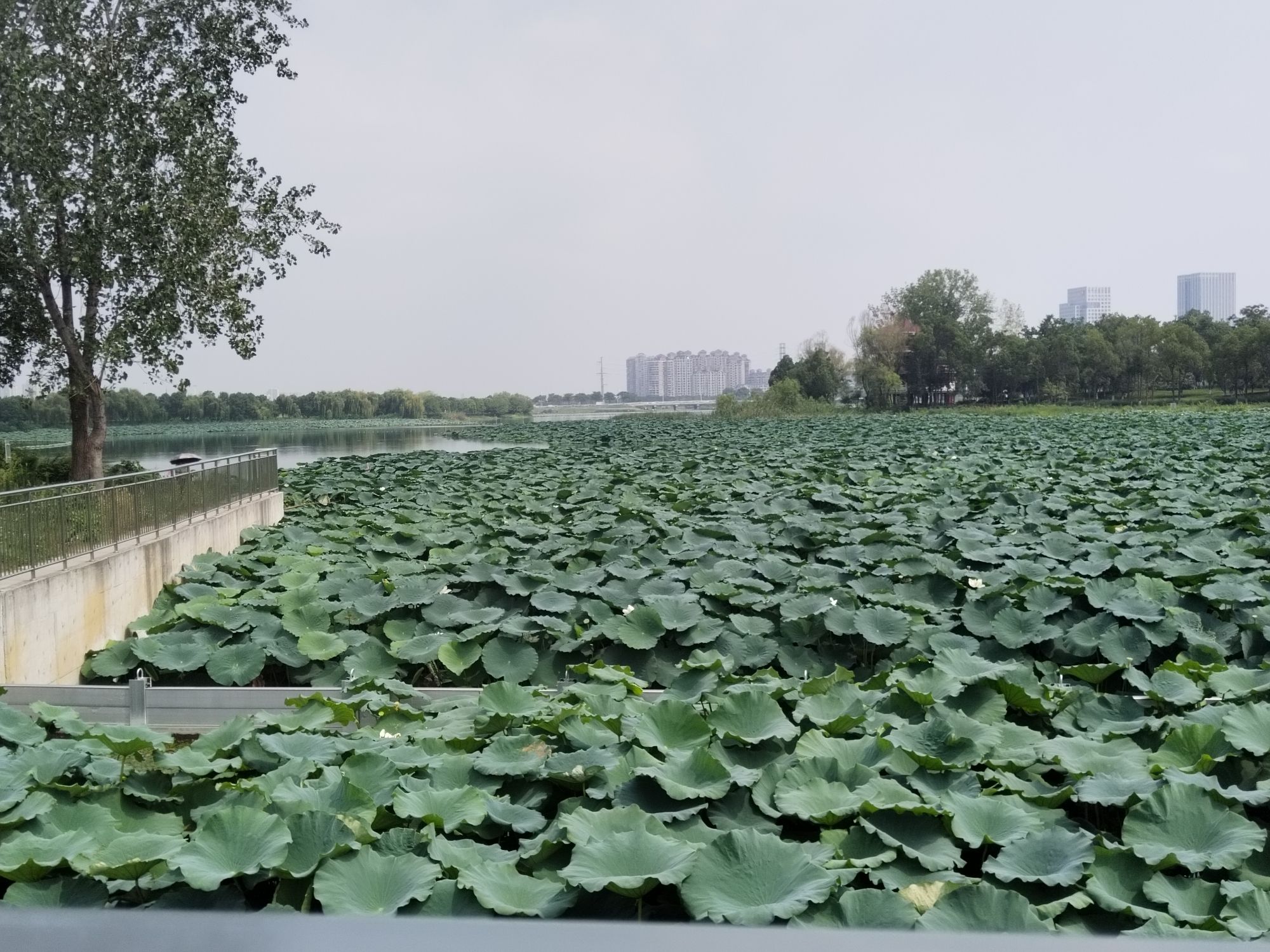 金珠广场