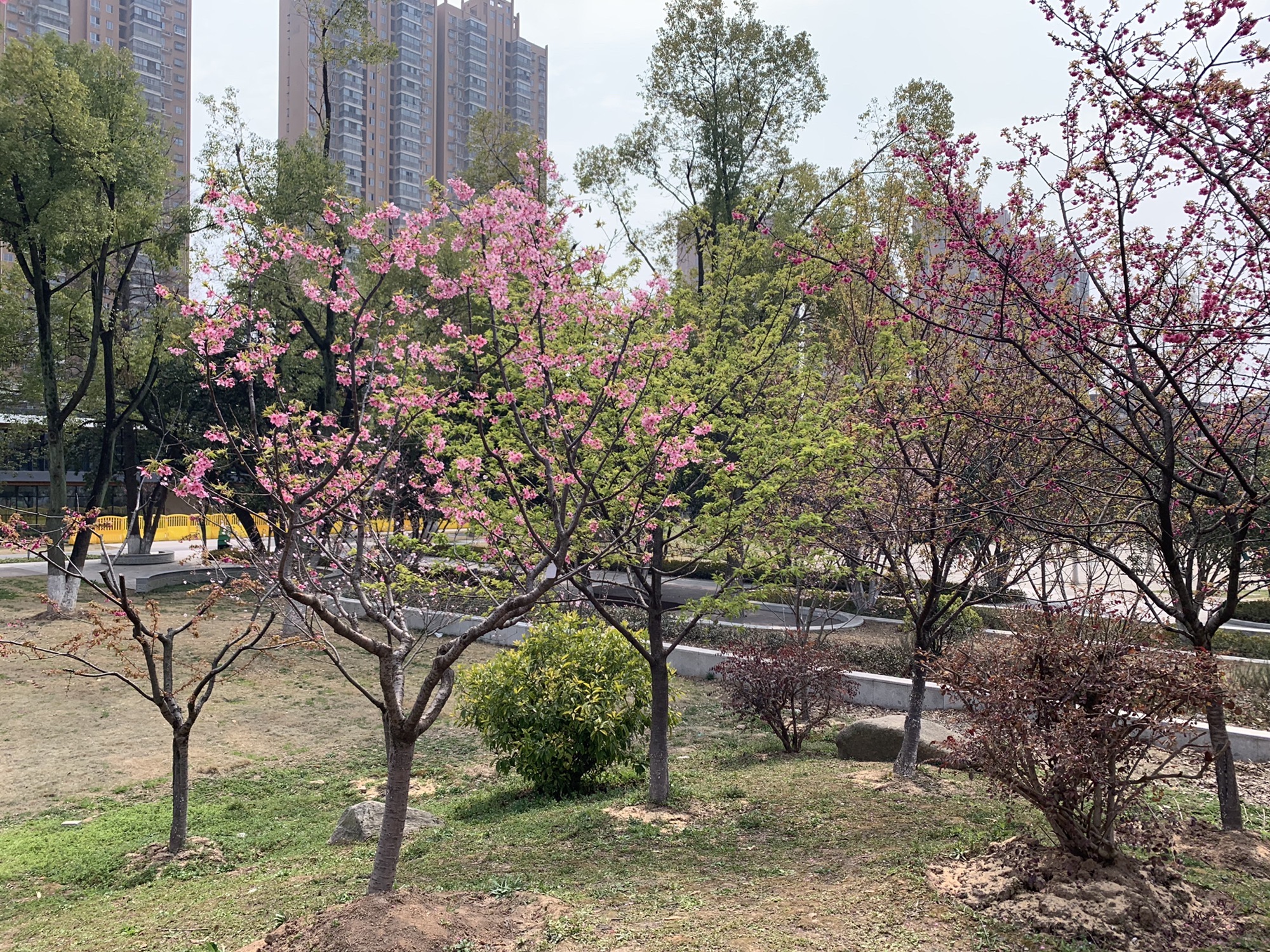 武汉市园林科普公园